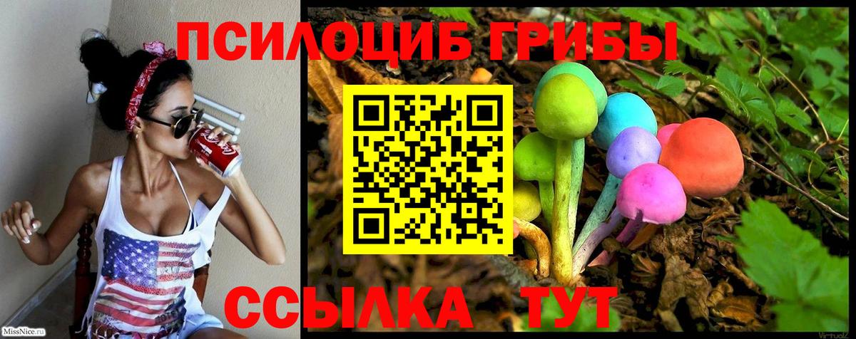 Тверь  Псилоцибиновые грибы Psilocybe  Псилоцибиновые грибы мухоморы  Вход с VPN 