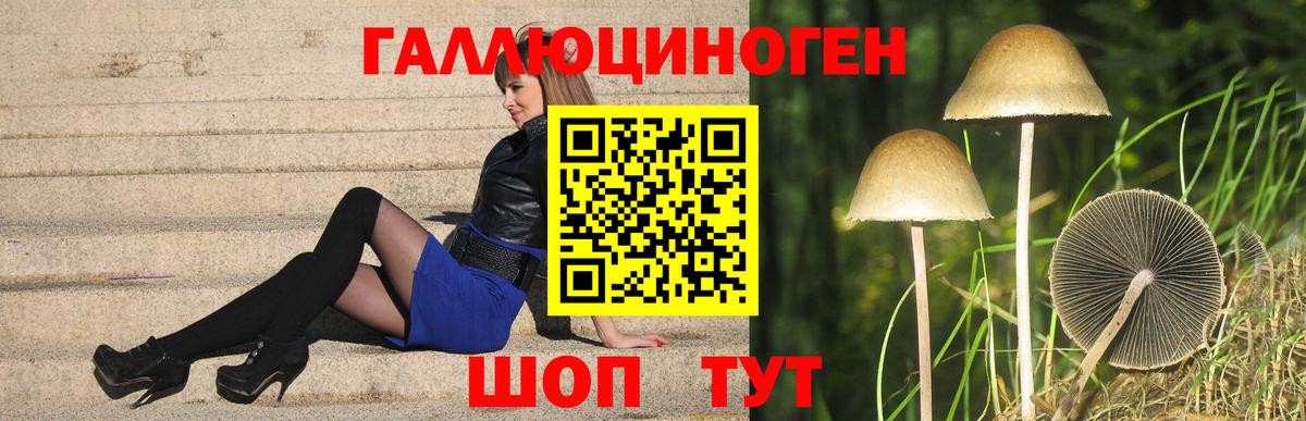 Псилоцибиновые грибы GOLDEN TEACHER Тверь